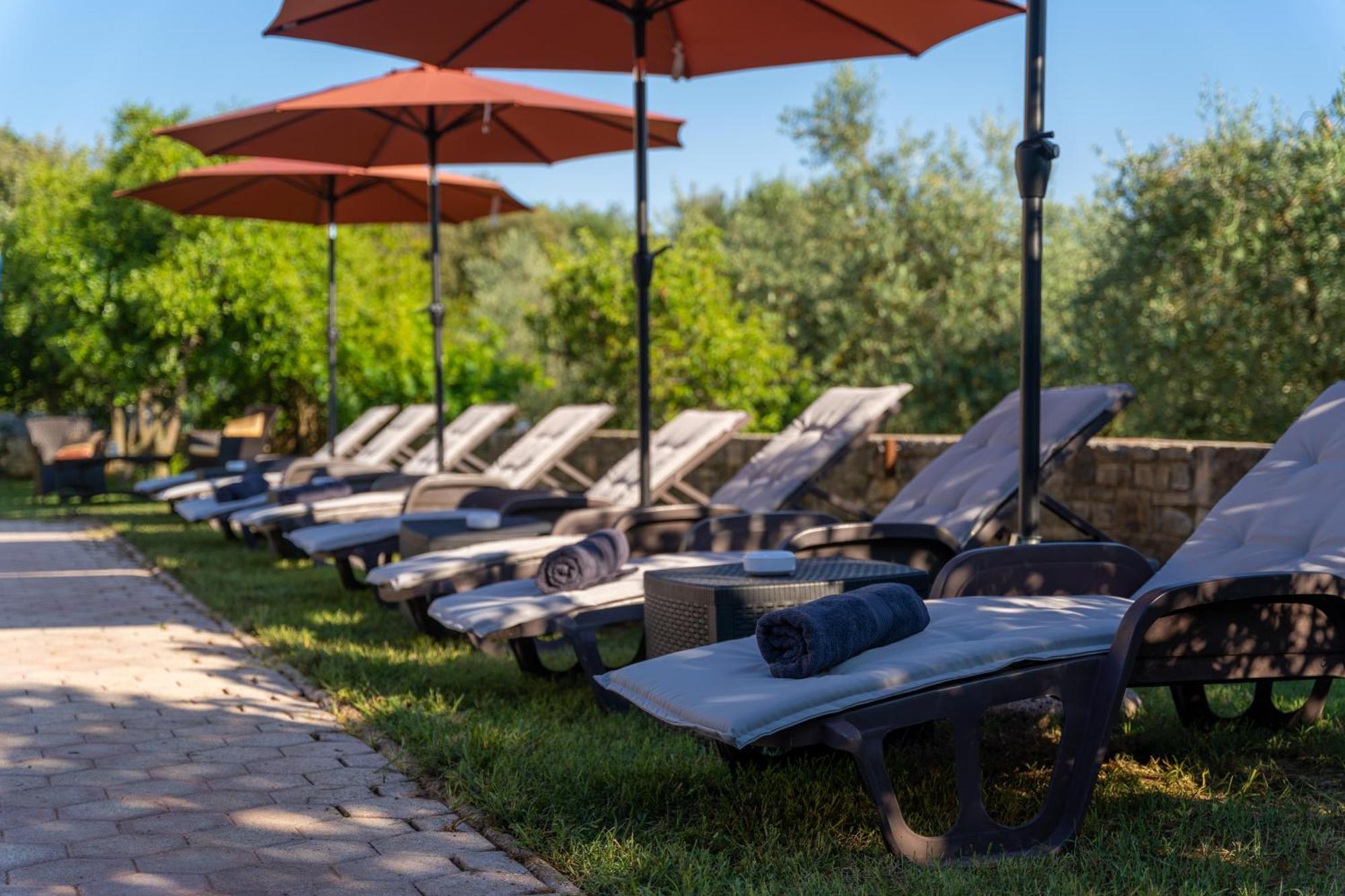 Guesthouse "Barboska" - Big Outdoor Swimming Pool & Private Tennis Court Воднян Экстерьер фото